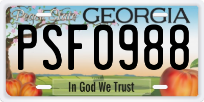 GA license plate PSF0988