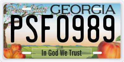 GA license plate PSF0989