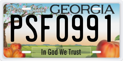 GA license plate PSF0991