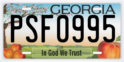 GA license plate PSF0995