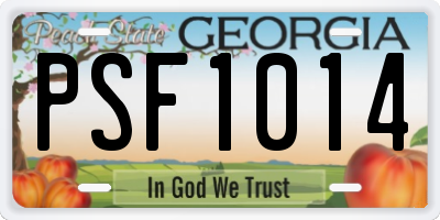 GA license plate PSF1014