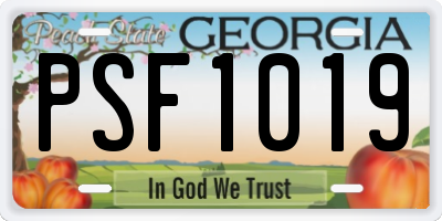 GA license plate PSF1019