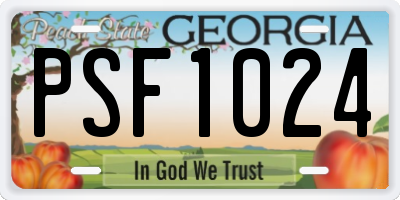 GA license plate PSF1024