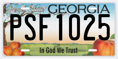 GA license plate PSF1025