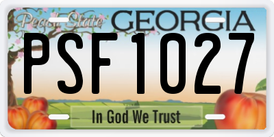 GA license plate PSF1027