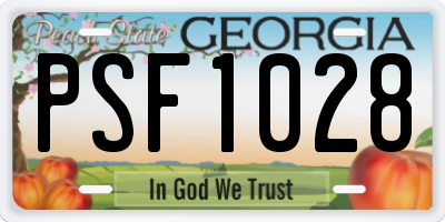 GA license plate PSF1028