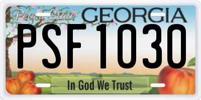 GA license plate PSF1030