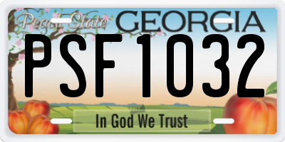 GA license plate PSF1032
