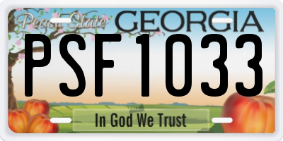 GA license plate PSF1033