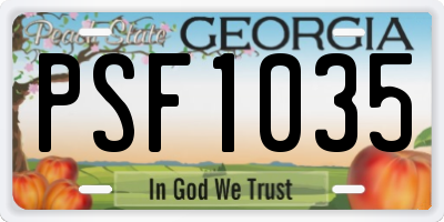 GA license plate PSF1035