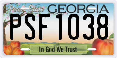 GA license plate PSF1038