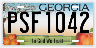 GA license plate PSF1042