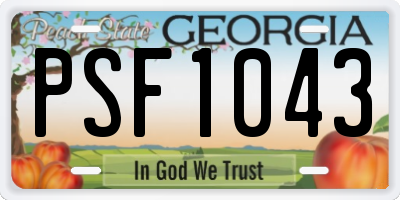 GA license plate PSF1043