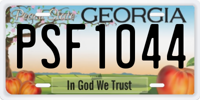 GA license plate PSF1044