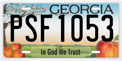 GA license plate PSF1053