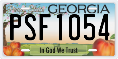 GA license plate PSF1054