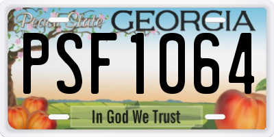 GA license plate PSF1064
