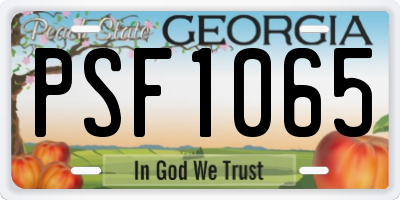 GA license plate PSF1065