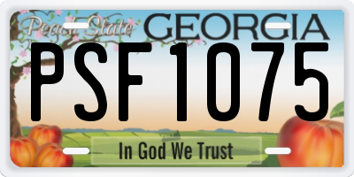 GA license plate PSF1075