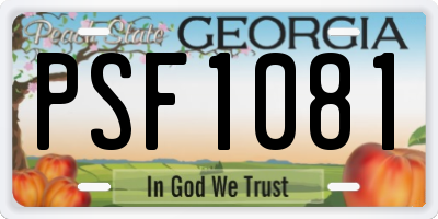 GA license plate PSF1081