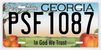 GA license plate PSF1087
