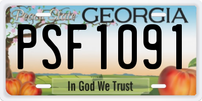 GA license plate PSF1091
