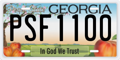 GA license plate PSF1100