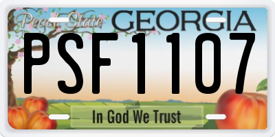 GA license plate PSF1107