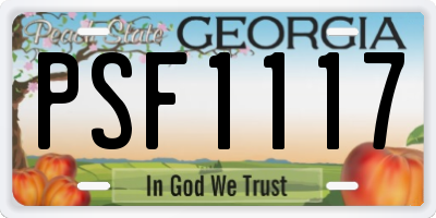 GA license plate PSF1117