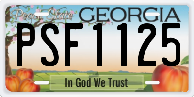 GA license plate PSF1125