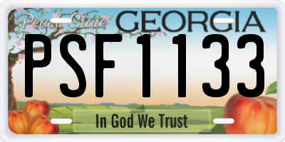 GA license plate PSF1133