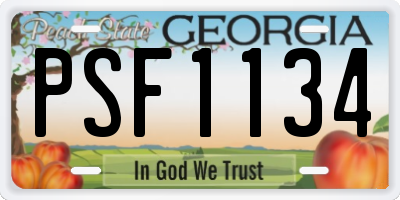 GA license plate PSF1134