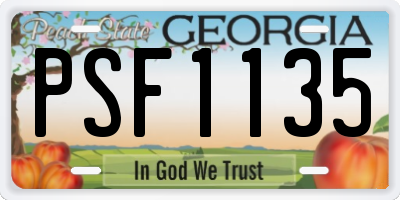 GA license plate PSF1135