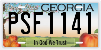 GA license plate PSF1141