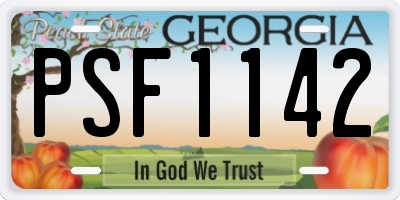 GA license plate PSF1142