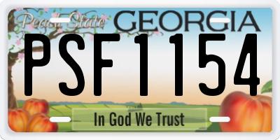 GA license plate PSF1154