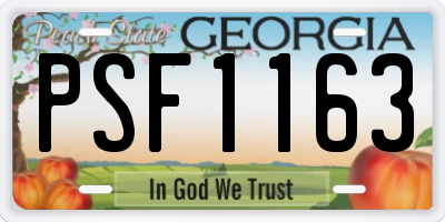 GA license plate PSF1163