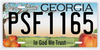 GA license plate PSF1165