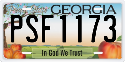 GA license plate PSF1173