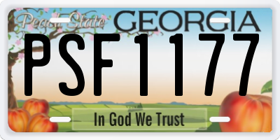 GA license plate PSF1177
