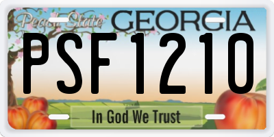 GA license plate PSF1210