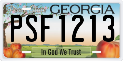 GA license plate PSF1213