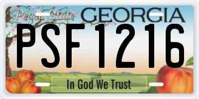 GA license plate PSF1216