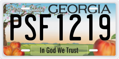 GA license plate PSF1219