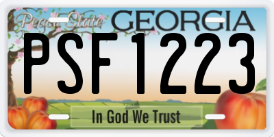 GA license plate PSF1223