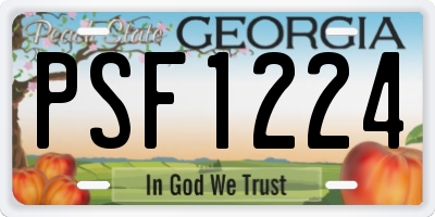 GA license plate PSF1224