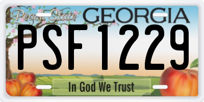 GA license plate PSF1229
