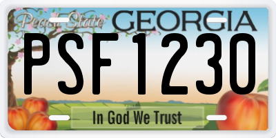 GA license plate PSF1230