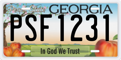 GA license plate PSF1231