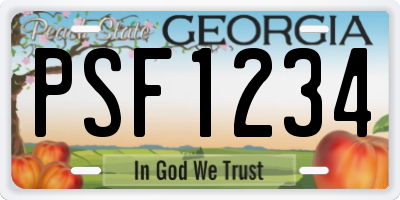 GA license plate PSF1234